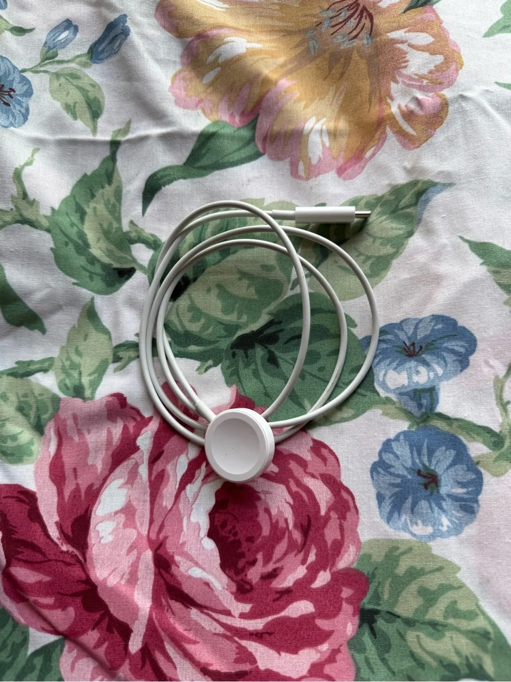 Apple White USB-C Magnetic Watch Charger